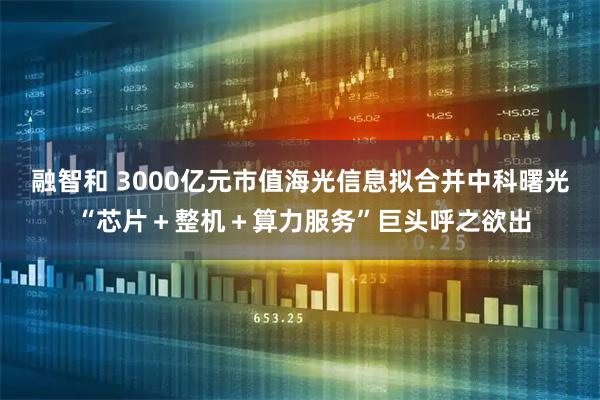 融智和 3000亿元市值海光信息拟合并中科曙光 “芯片＋整机＋算力服务”巨头呼之欲出