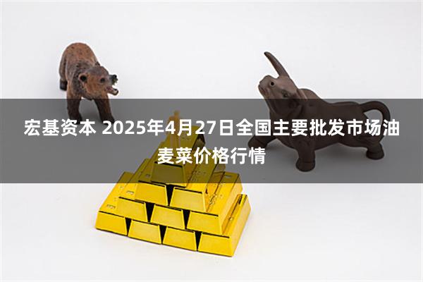 宏基资本 2025年4月27日全国主要批发市场油麦菜价格行情