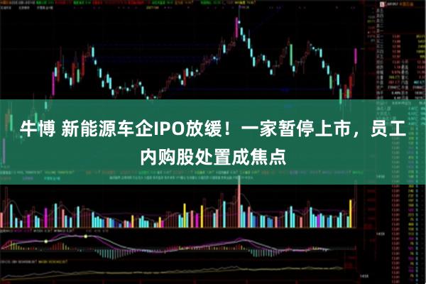 牛博 新能源车企IPO放缓！一家暂停上市，员工内购股处置成焦点