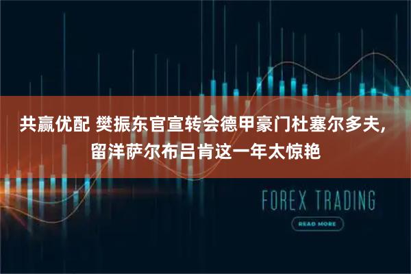 共赢优配 樊振东官宣转会德甲豪门杜塞尔多夫, 留洋萨尔布吕肯这一年太惊艳